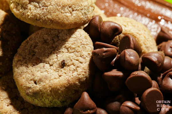 Chocolate Chip Cookies FOCUS + WELLNESS | 1:1 | by Dr. Norms 2